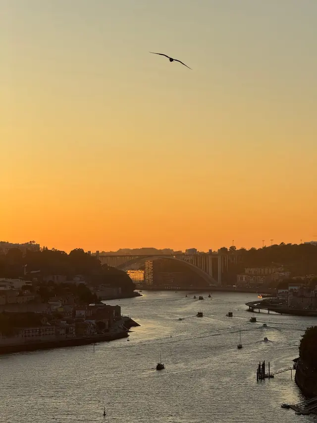 Porto, the Douro at sunset